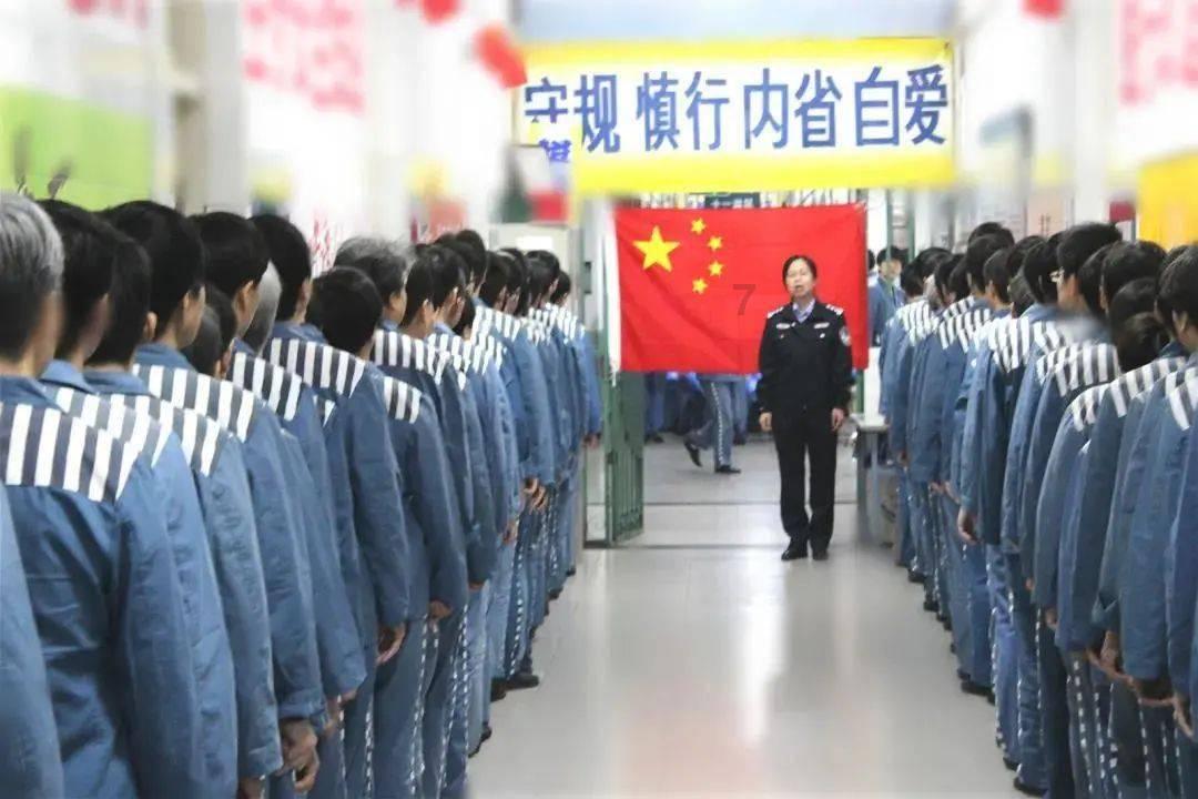 小猫钓鱼正版下载中文版